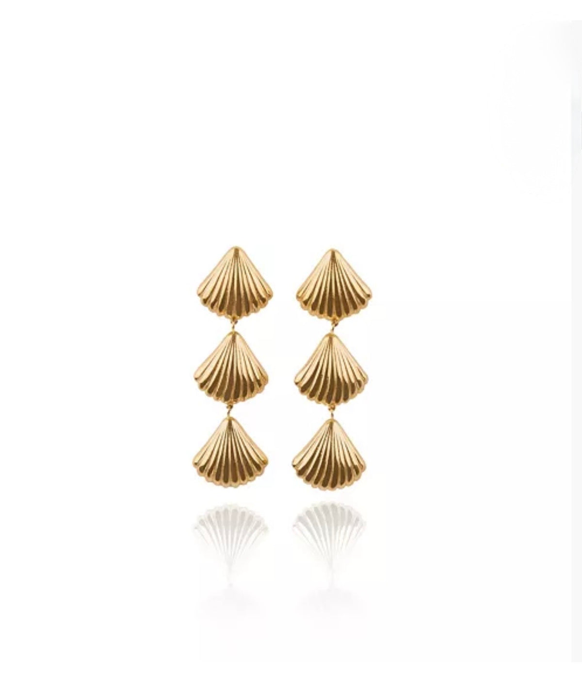 Beach shell Ear