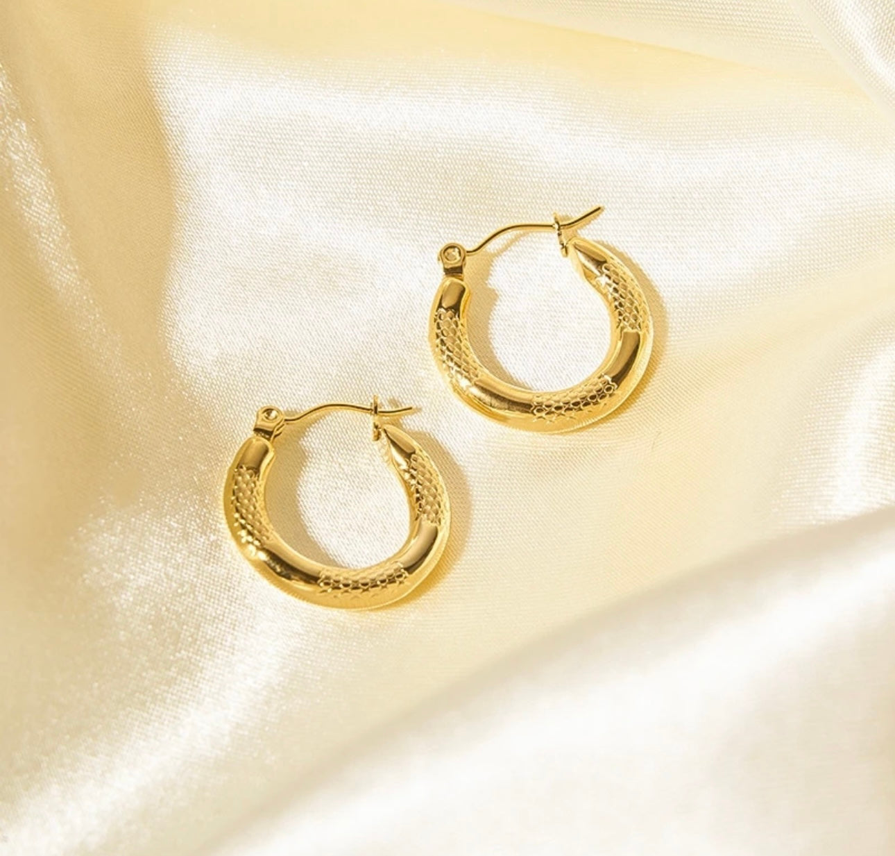 Gold Plated Circle Hoops kohi